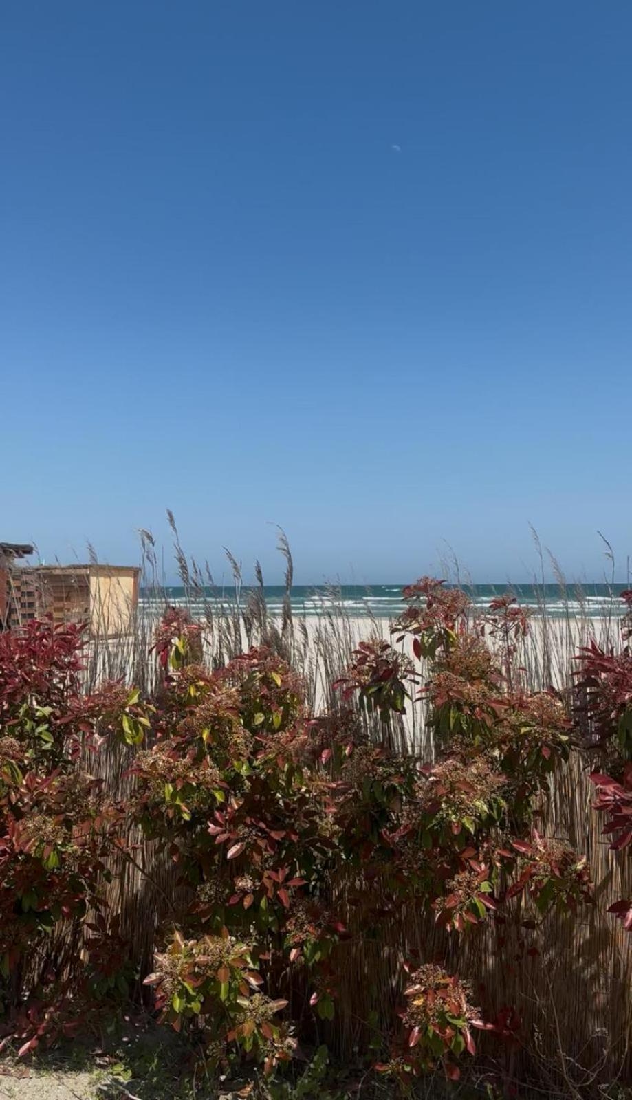 Sea View Luxury Apartament 那沃达利 外观 照片