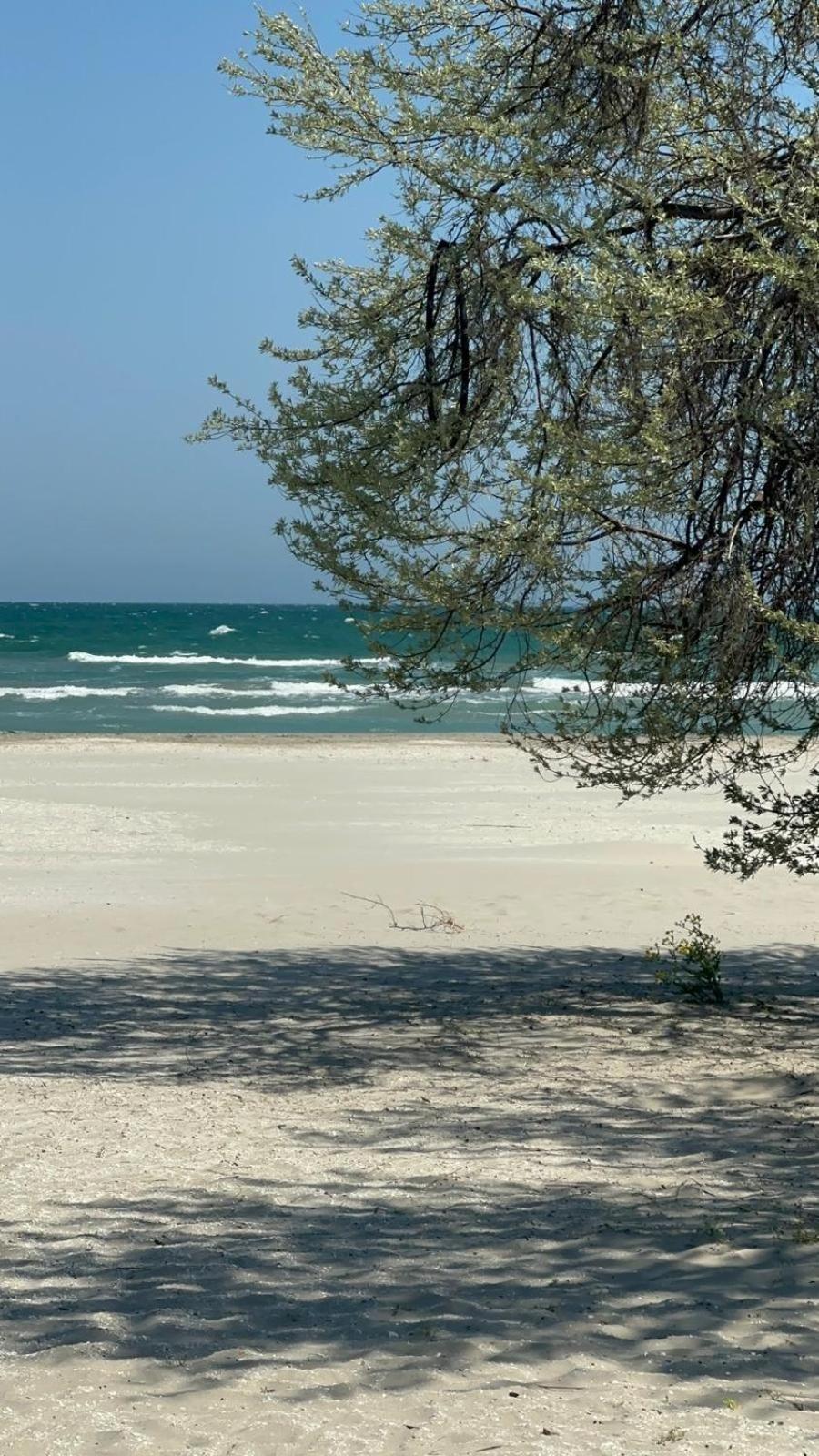 Sea View Luxury Apartament 那沃达利 外观 照片